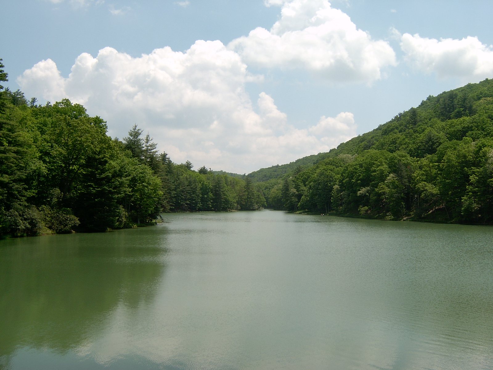 Watoga State Park Trail Network