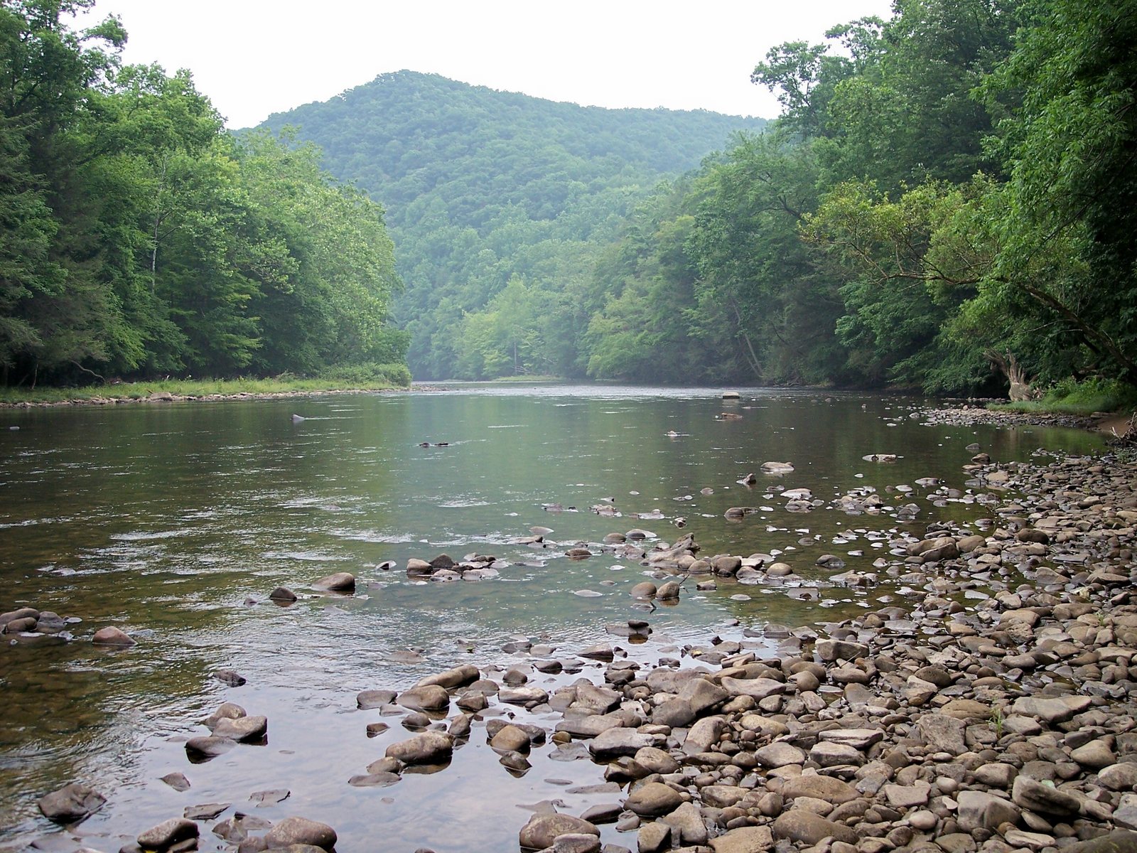 Shavers Fork (Cheat River)