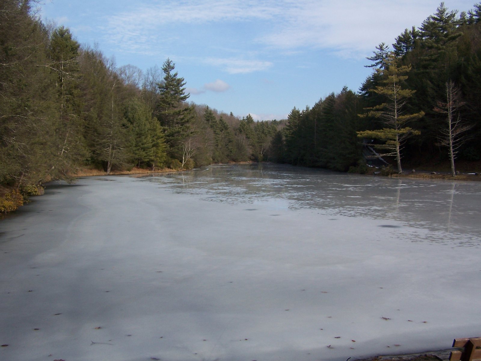 Seneca State Forest