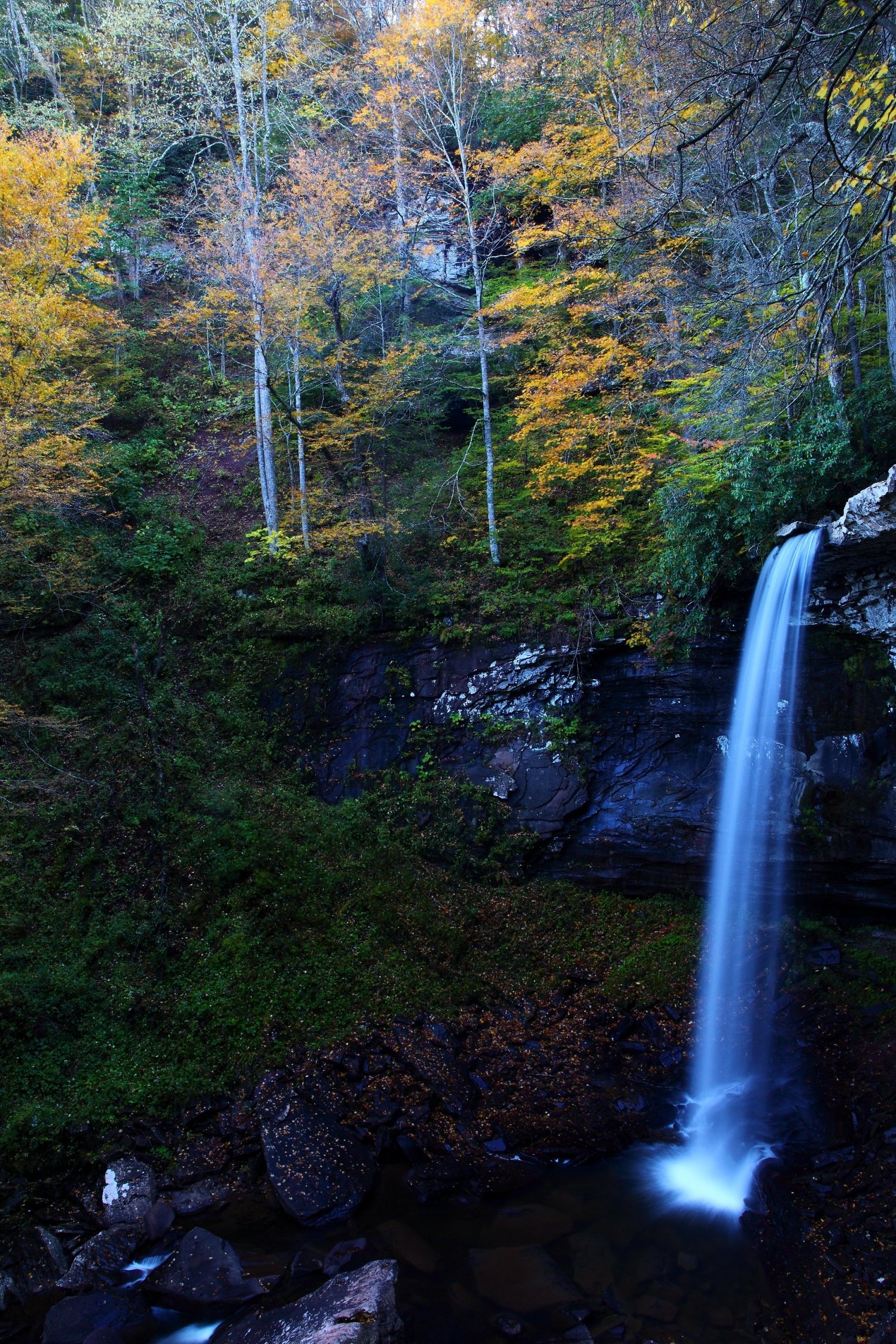Falls of Hills Creek Trail