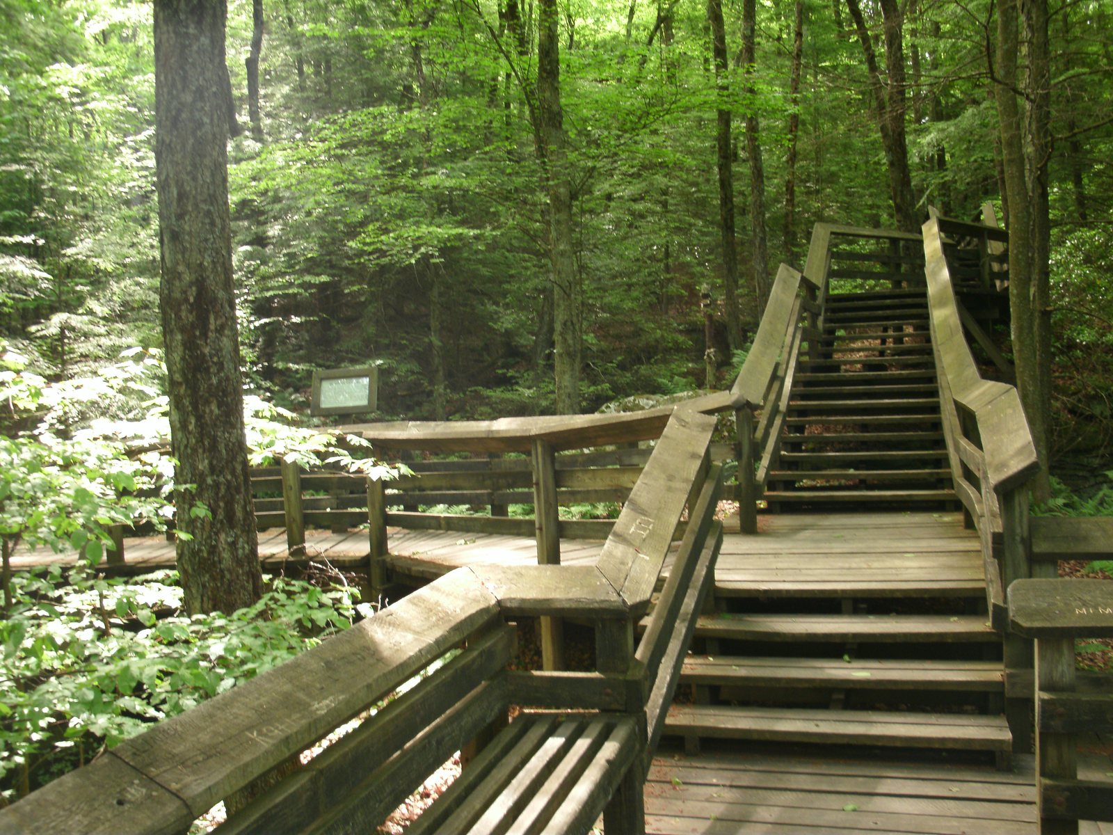 Beartown State Park Boardwalk