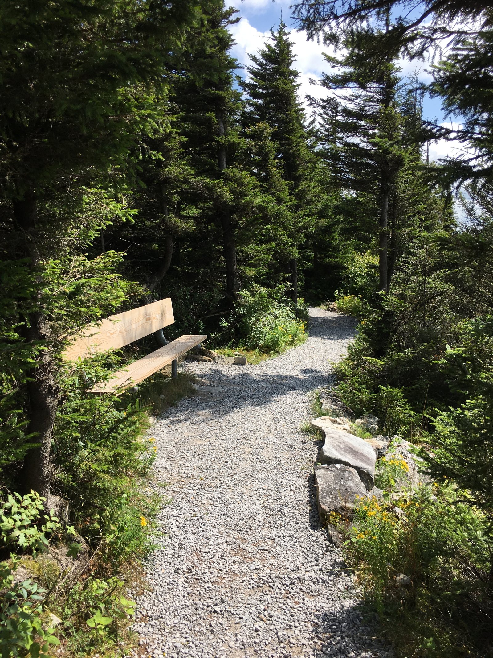 Whispering Spruce Trail